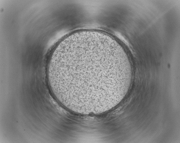 X0000088221456200706121818