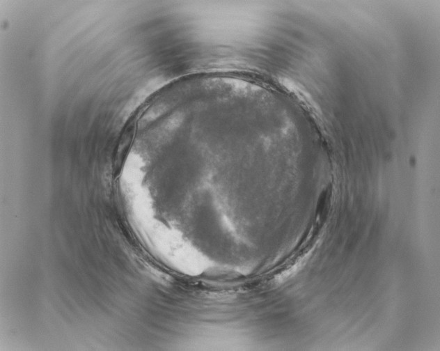 X0000088221457200706121818