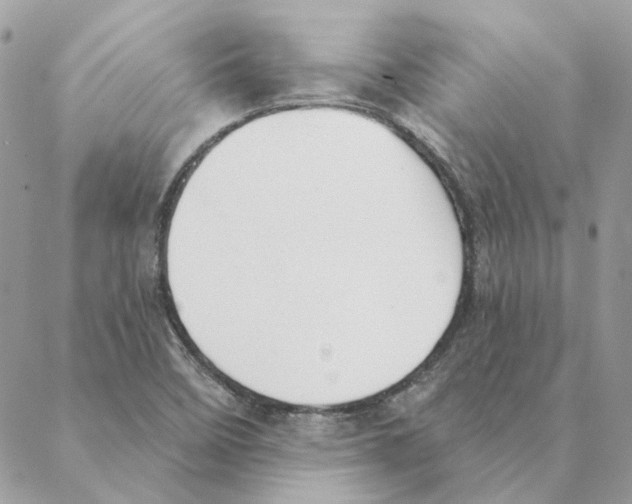 X0000088221458200706121818