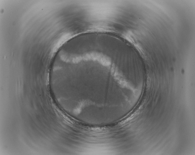 X0000088221459200706121818