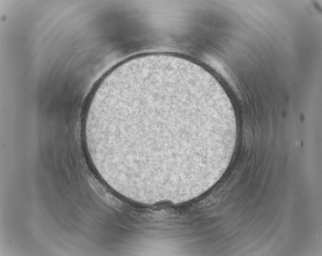 X0000088221460200706121818