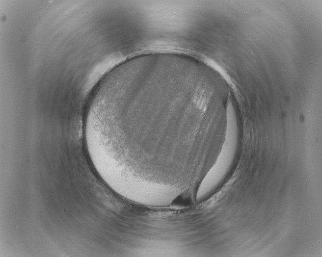 X0000088221461200706121818