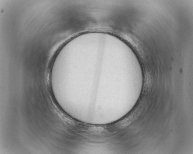 X0000088221462200706121818