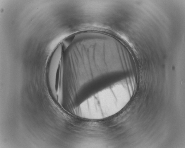 X0000088221463200706121818