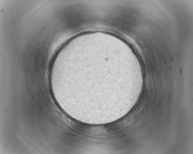 X0000088221464200706121818