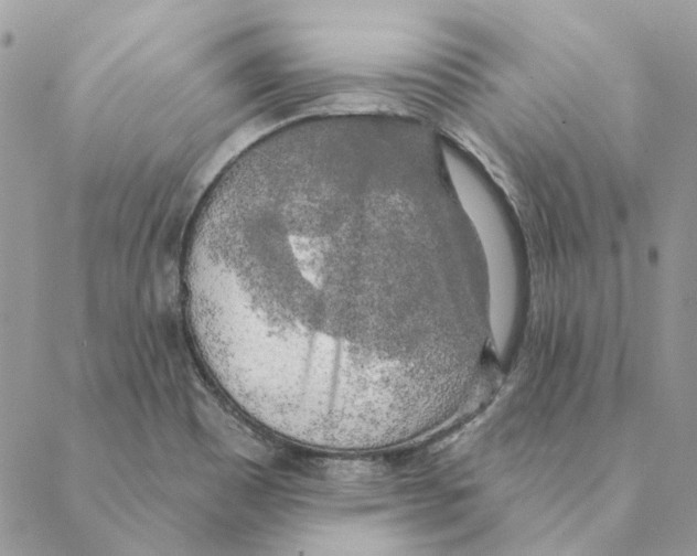 X0000088221465200706121818