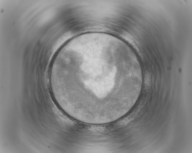 X0000088221466200706121818