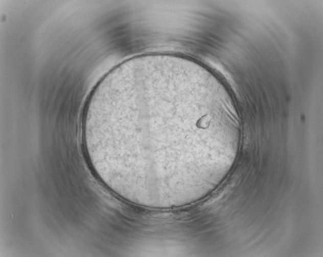 X0000088221467200706121818