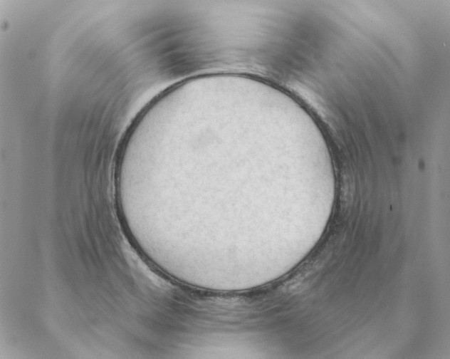 X0000088221468200706121818