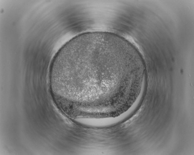 X0000088221469200706121818