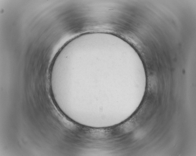 X0000088221470200706121818