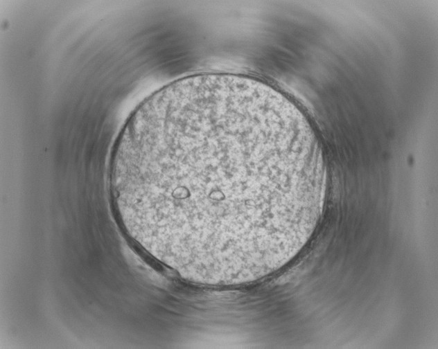 X0000088221471200706121818