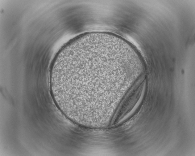 X0000088221472200706121818