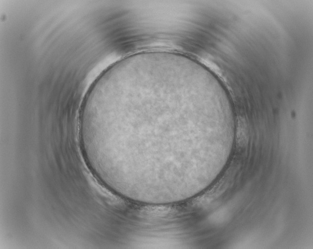 X0000088221474200706121818