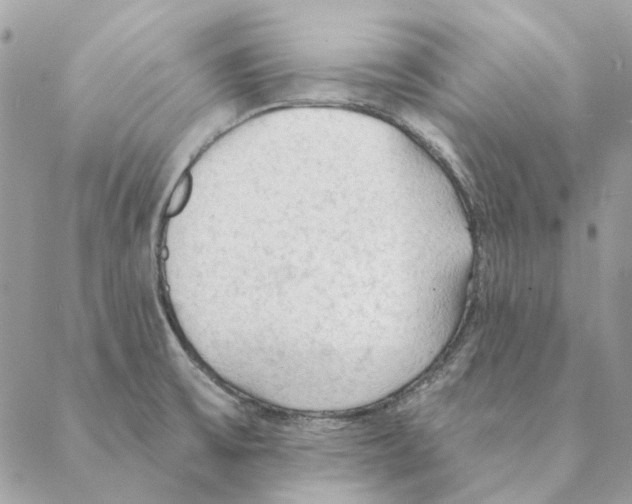 X0000088221475200706121818