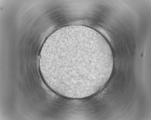 X0000088221476200706121818