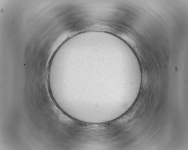 X0000088221478200706121818