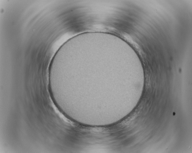 X0000088221479200706121818