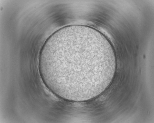 X0000088221480200706121818