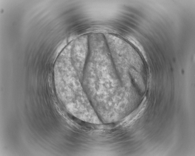 X0000088221481200706121818