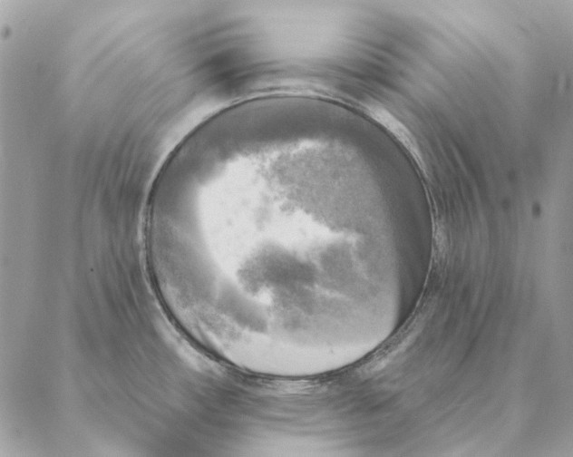 X0000088221482200706121818