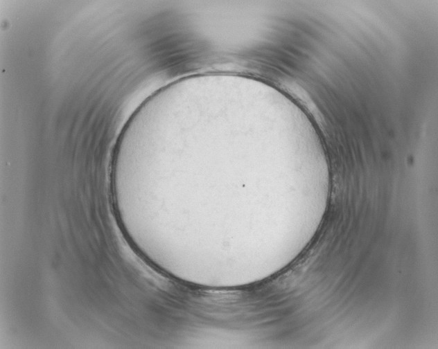 X0000088221483200706121818