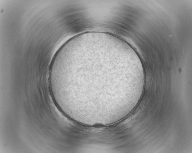 X0000088221484200706121818