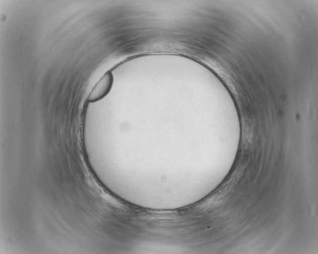 X0000088221486200706121818