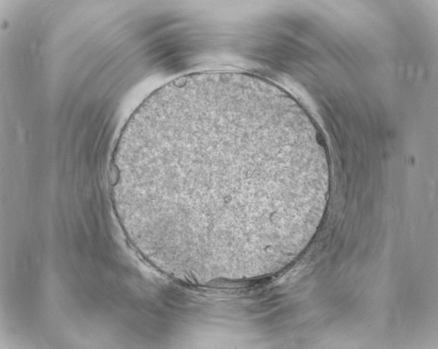 X0000088221488200706121818