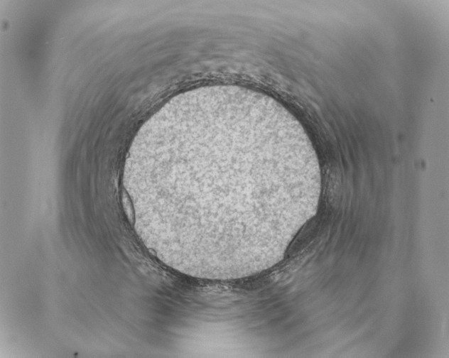 X0000088221489200706121817