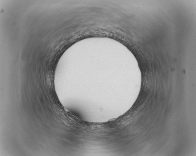 X0000088221490200706121817