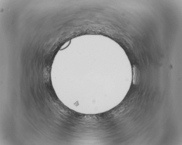 X0000088221491200706121817