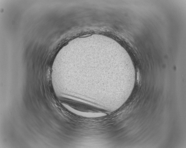 X0000088221492200706121817