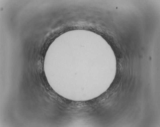 X0000088221493200706121817