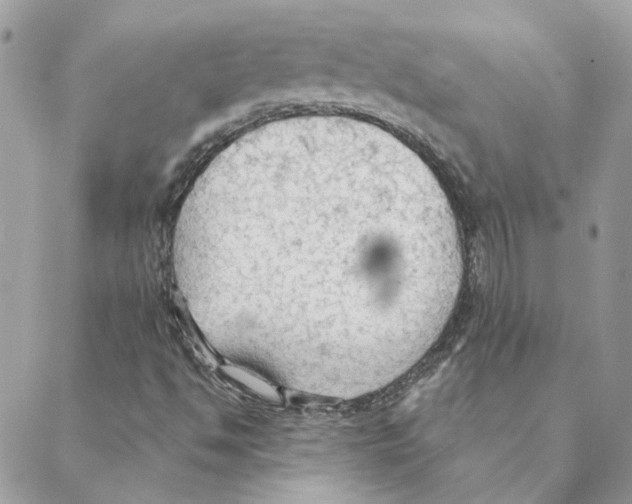 X0000088221494200706121817