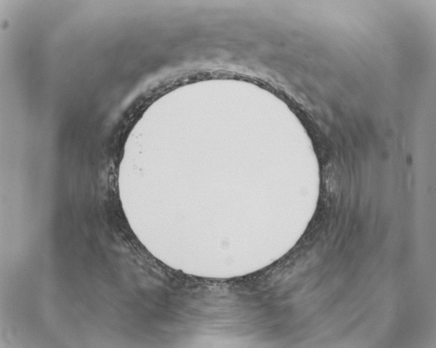 X0000088221495200706121817