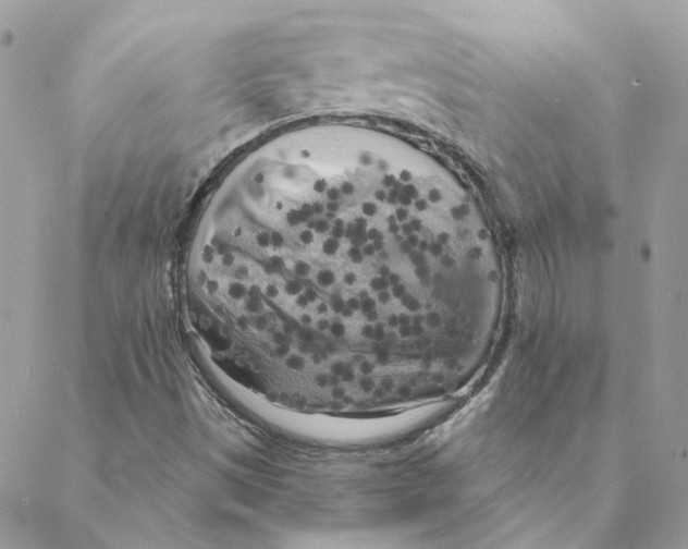 X0000088221497200706121817