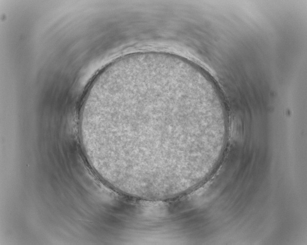 X0000088221498200706121817