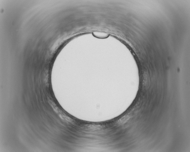 X0000088221499200706121817