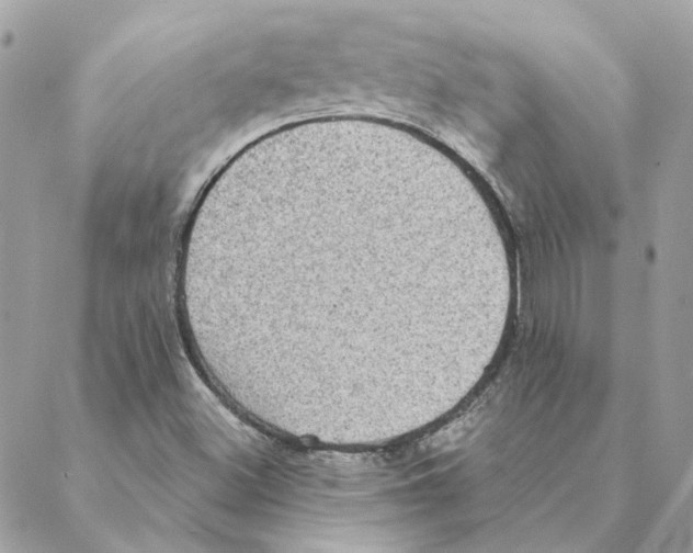 X0000088221500200706121817