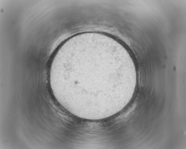 X0000088221501200706121817