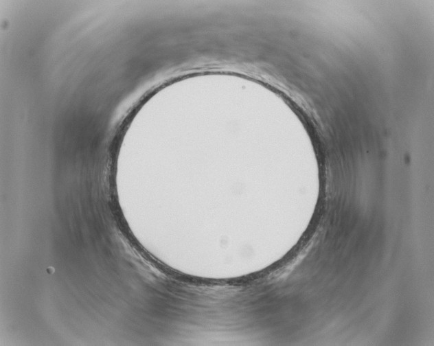 X0000088221502200706121817