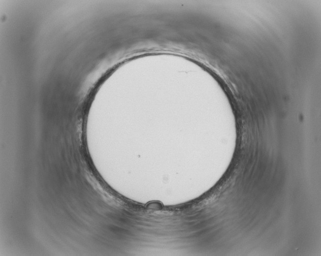 X0000088221503200706121817