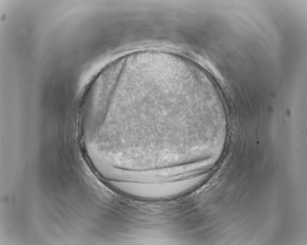 X0000088221504200706121817