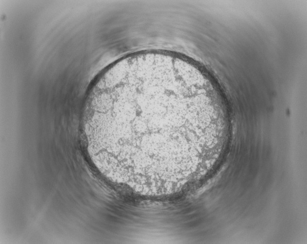 X0000088221505200706121817