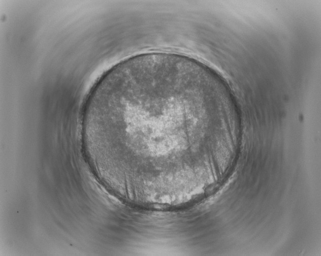 X0000088221506200706121817