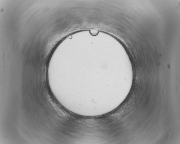 X0000088221507200706121817