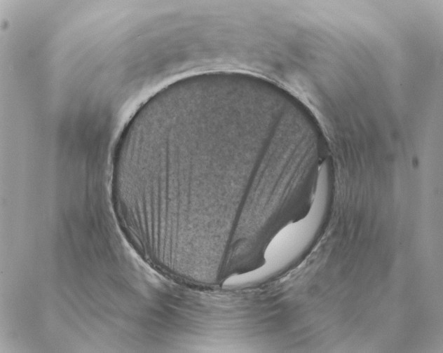 X0000088221508200706121817