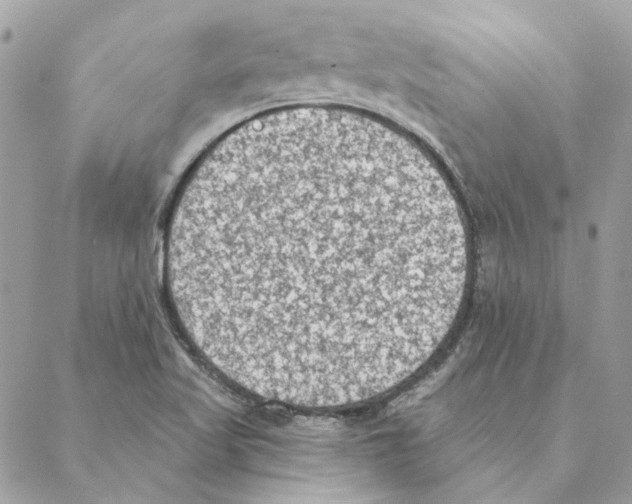 X0000088221509200706121817