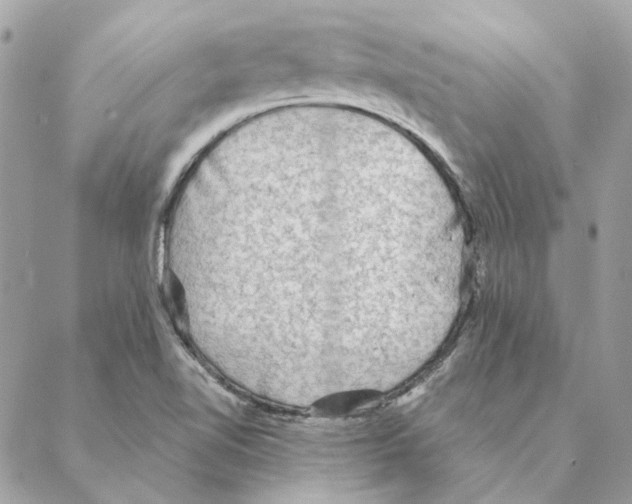 X0000088221510200706121817